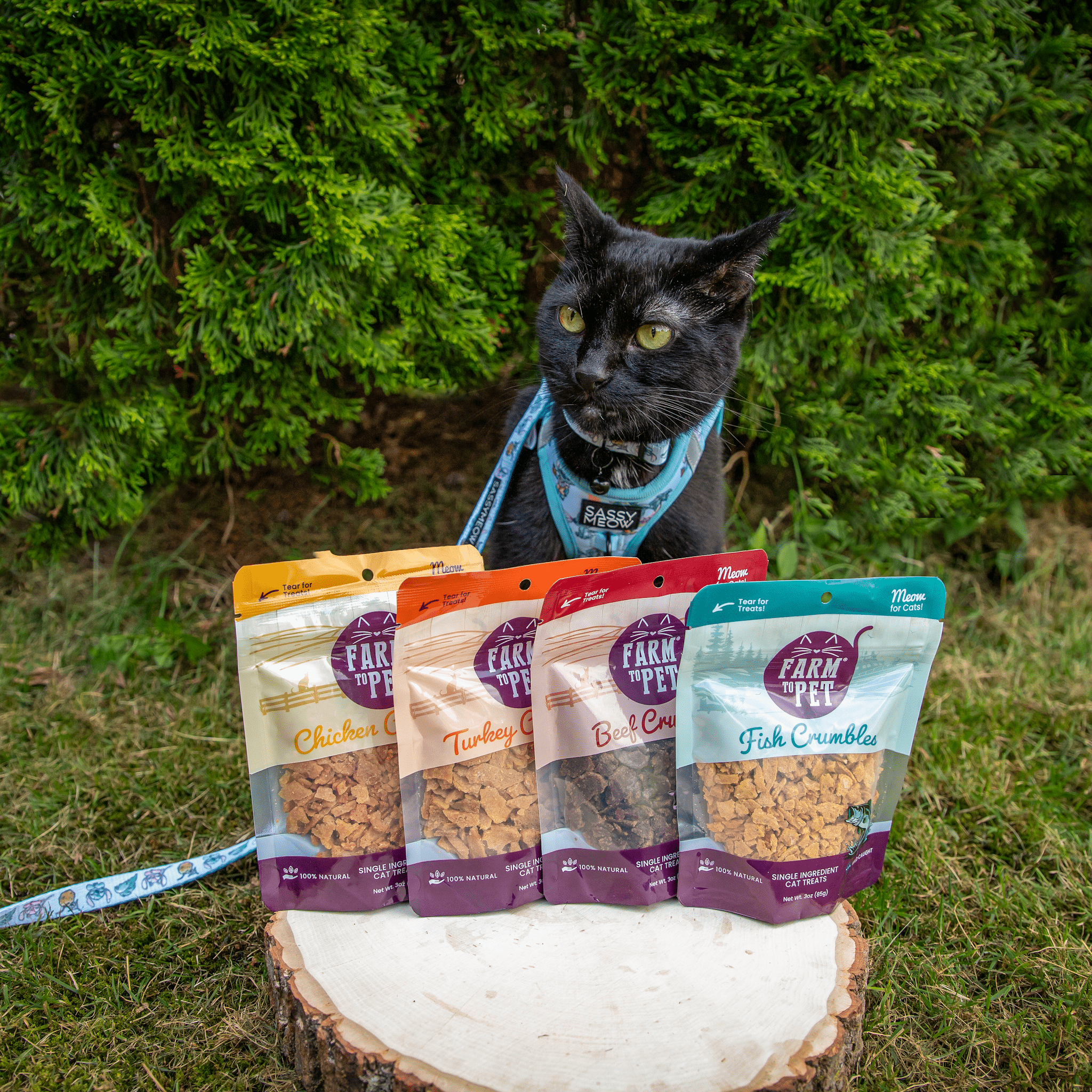 Fish Crumbles for Cats | 100% Protein Cat Treats