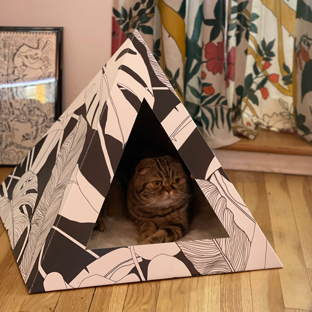 Kitty Kardboard® 'Dark Paradise' Cat Pyramid