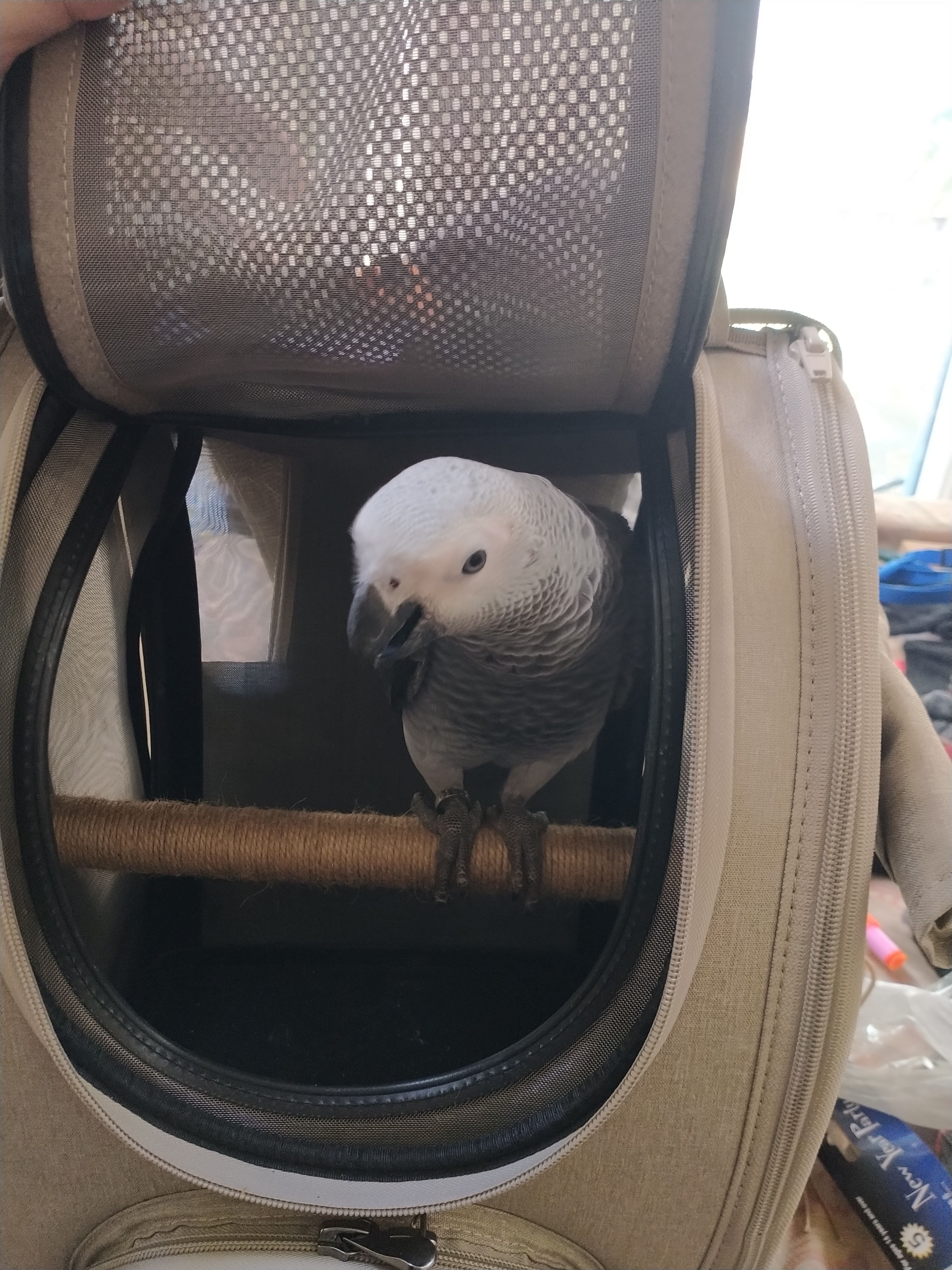 Ibiyaya BirdTricks TrackPack for Birds, Patented Bird Carrier Backpack with Perch, Airline Approved