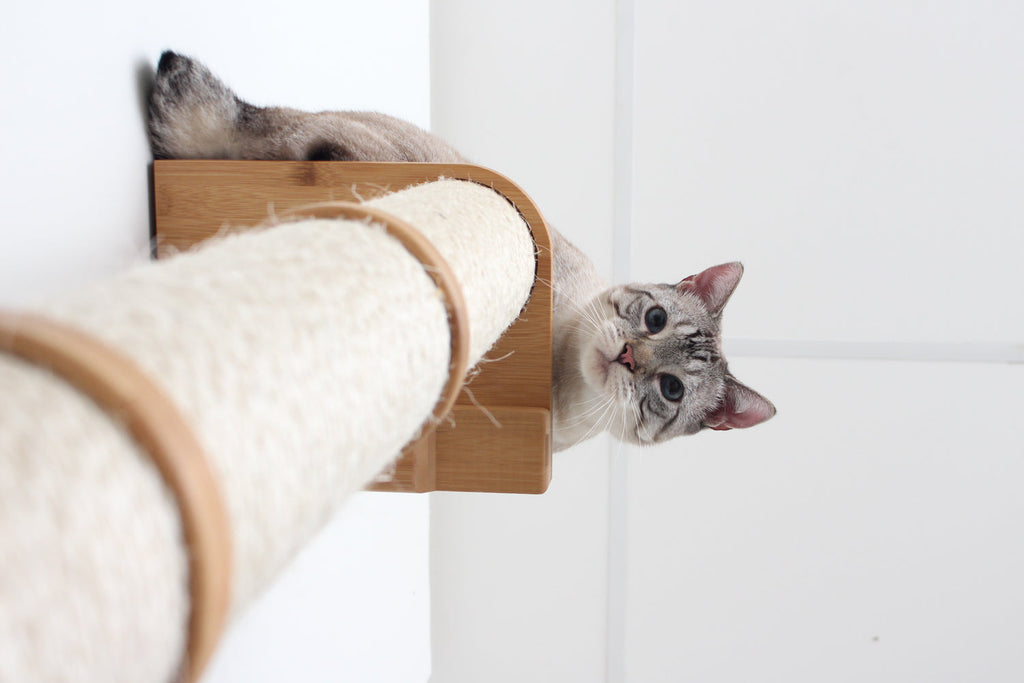 Catastrophic Creations Wall Mounted Cat Climbing Pole - Sisal