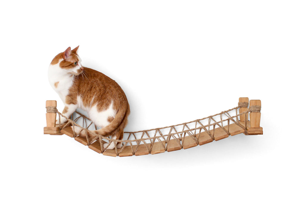 Catastrophic Creations Cat Bridge for Wall