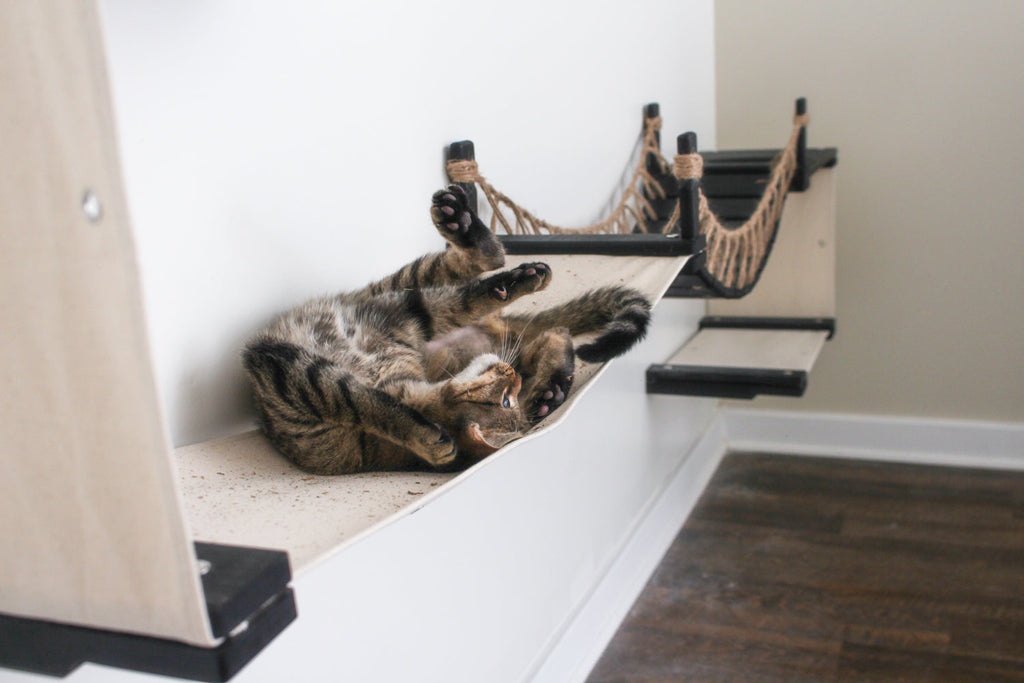 The Canyon - Our Best Cat Tree for Multiple Cats