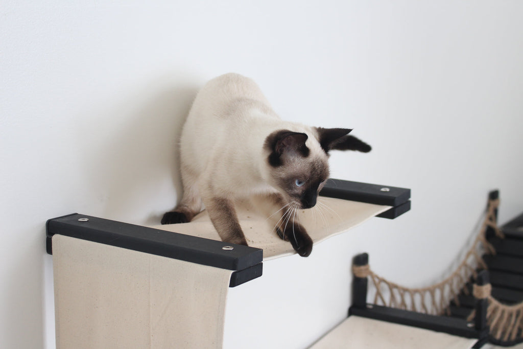 The Canyon - Our Best Cat Tree for Multiple Cats