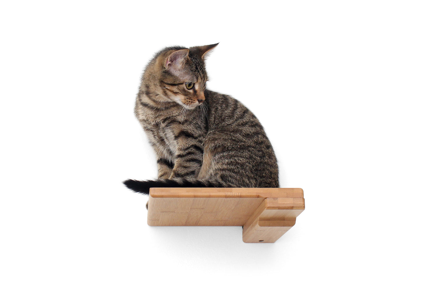 Catastrophic Creations Cat Climbing Shelf