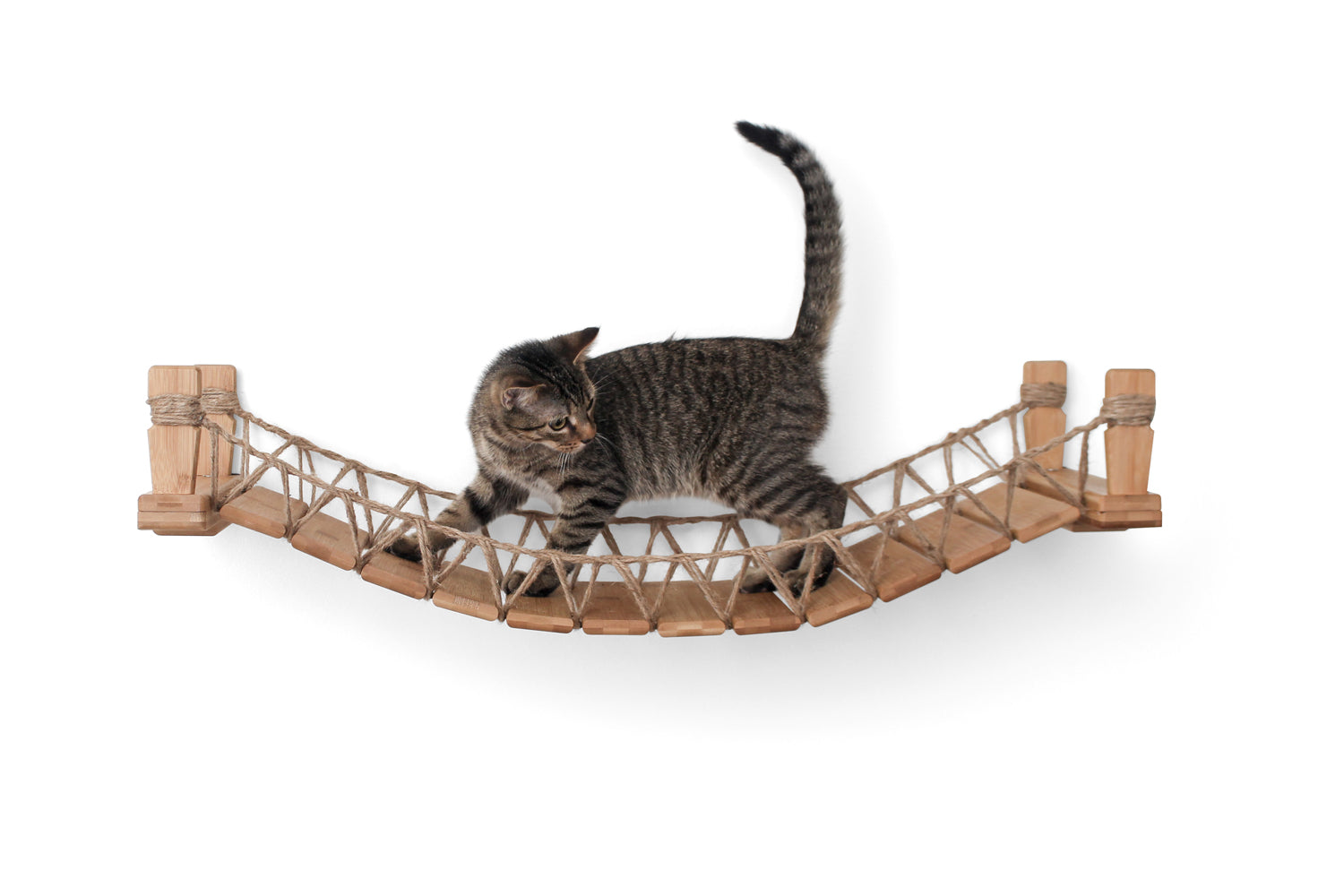 Catastrophic Creations Cat Bridge for Wall