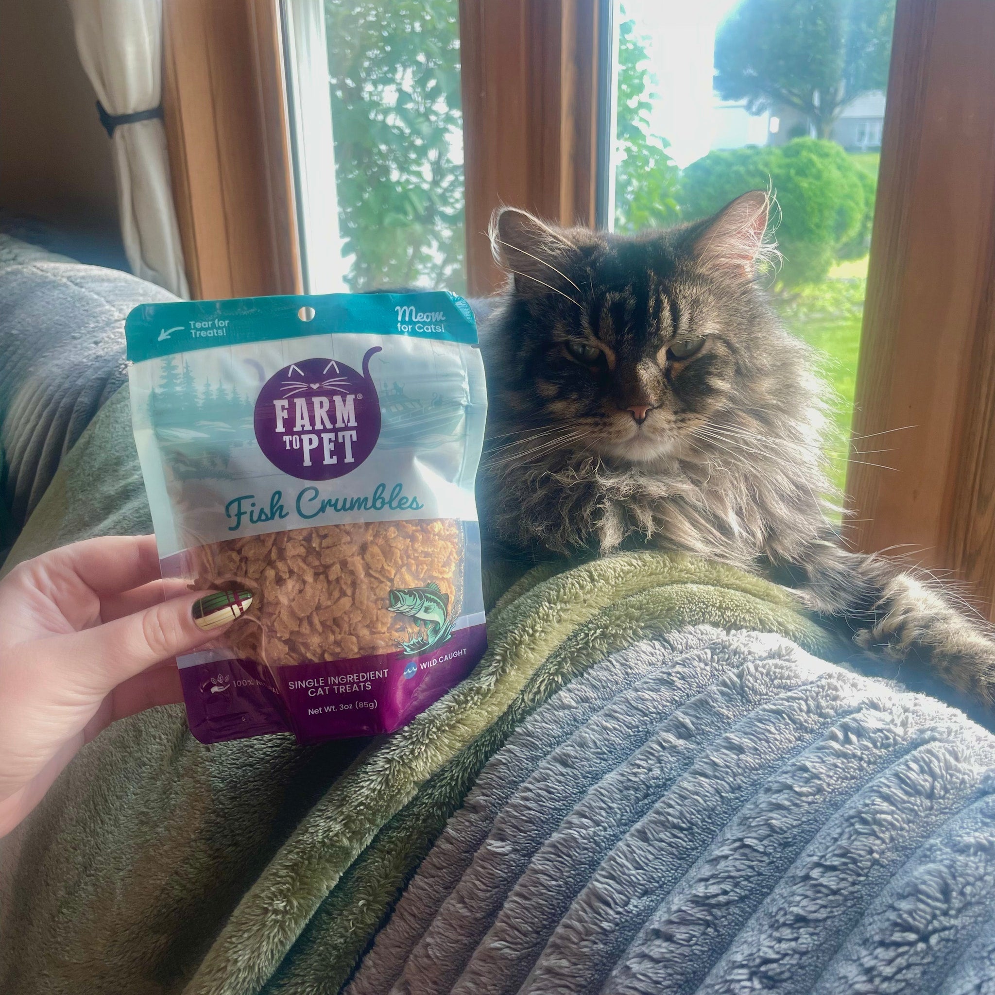 Fish Crumbles for Cats | 100% Protein Cat Treats