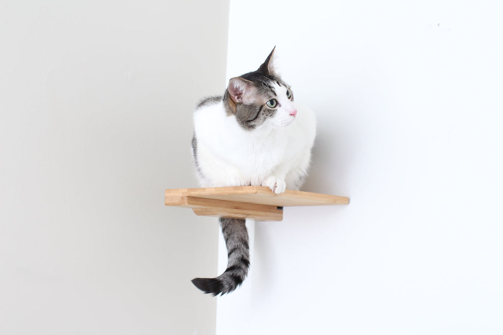 Catastrophic Creations Cat Climbing Shelf
