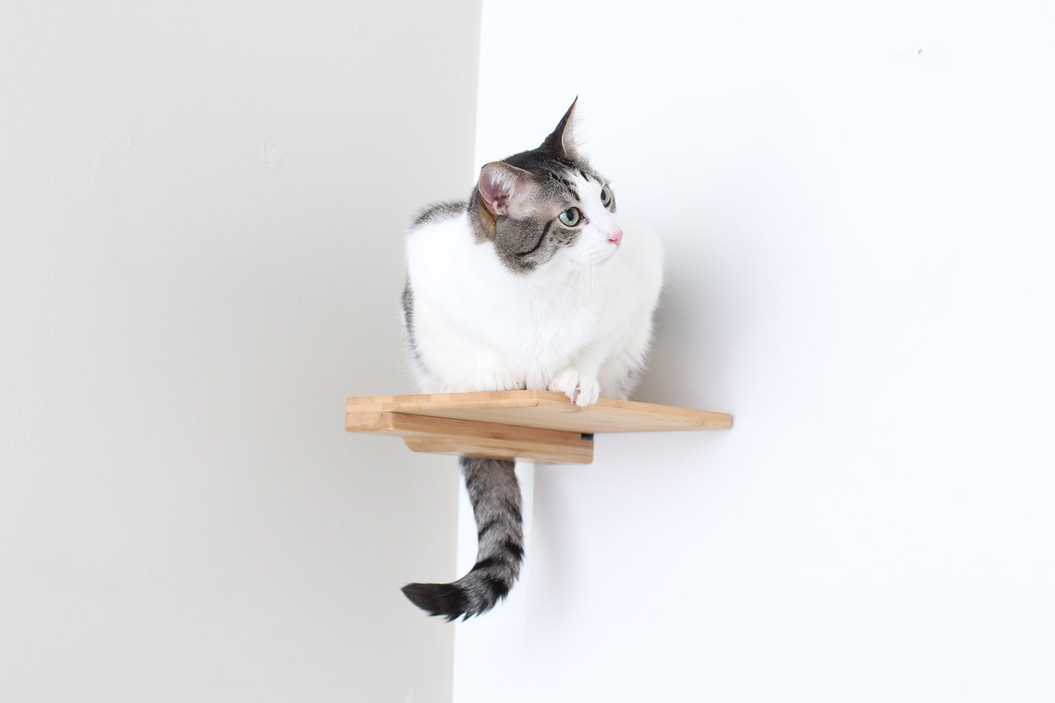 Catastrophic Creations Cat Climbing Shelf