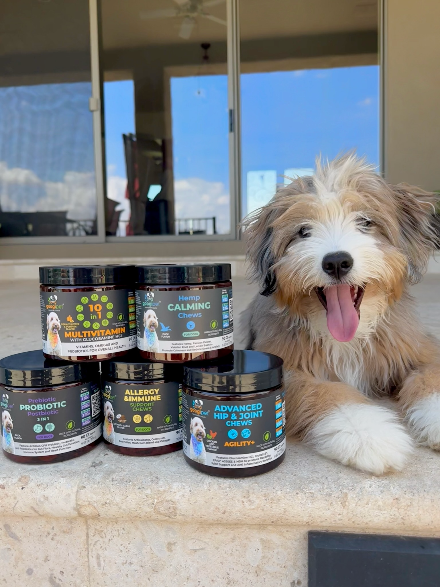 Googipet Allergy & Immune Support Chews for Dogs (Peanut Butter Flavor)