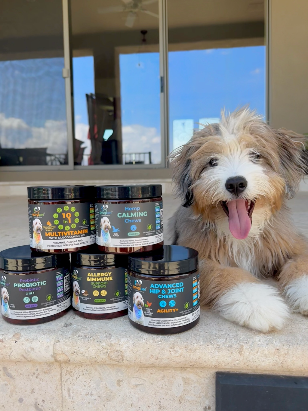 Googipet Allergy & Immune Support Chews for Dogs (Coconut & Carob Flavor)