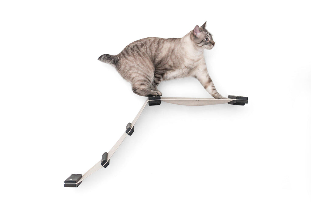 The Lift - Cat Hammock Bed by Catastrophic Creations