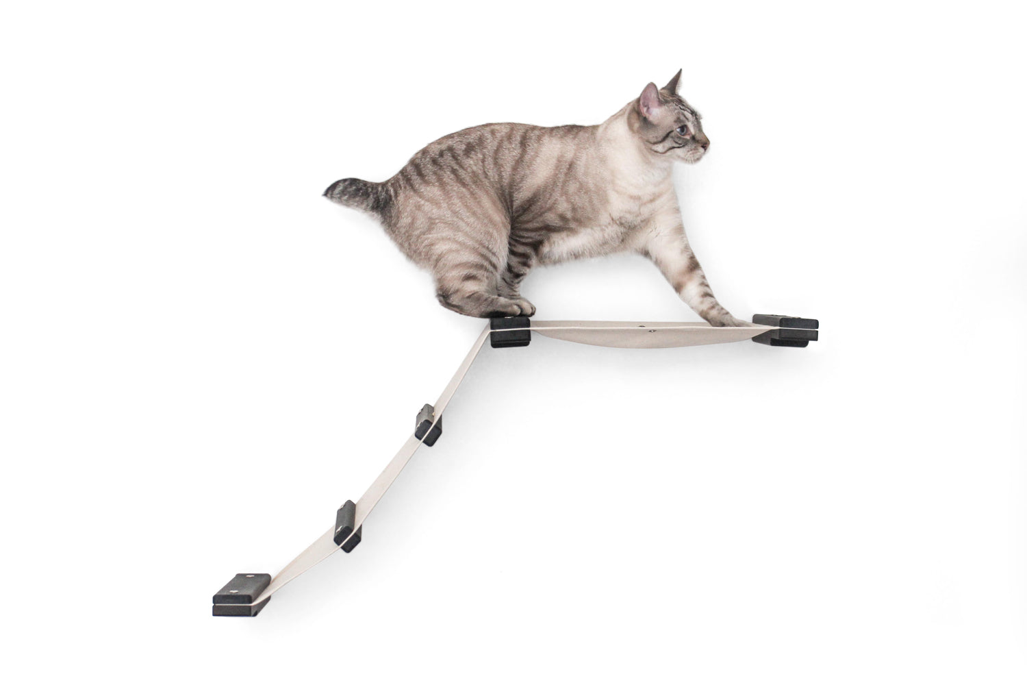The Lift - Cat Hammock Bed by Catastrophic Creations