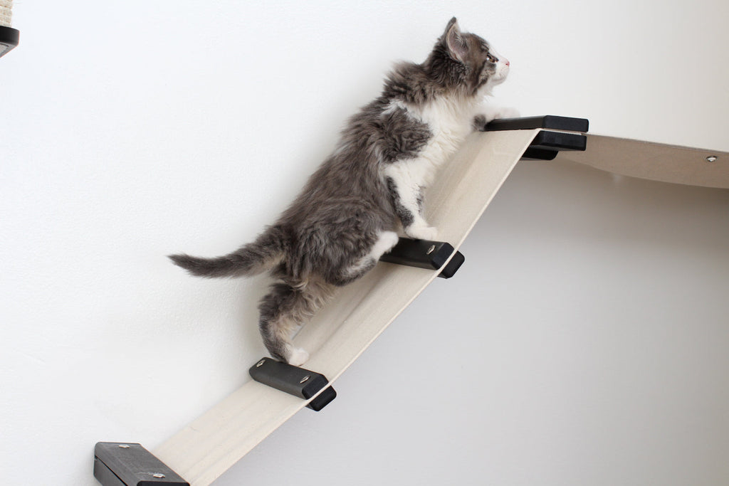 The Lift - Cat Hammock Bed by Catastrophic Creations