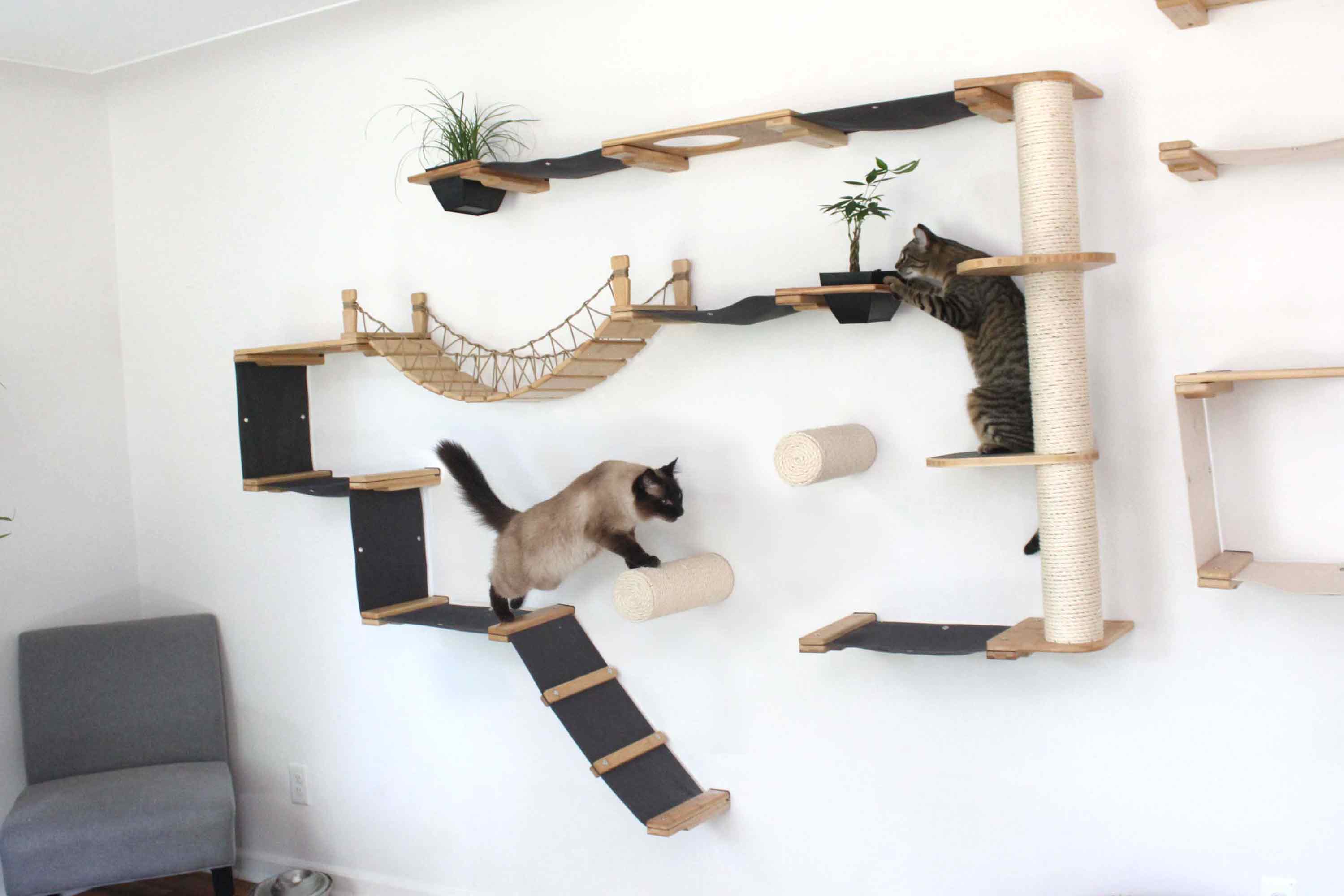 The Juggernaut - Indoor Cat Playground for Wall by Catastrophic Creations