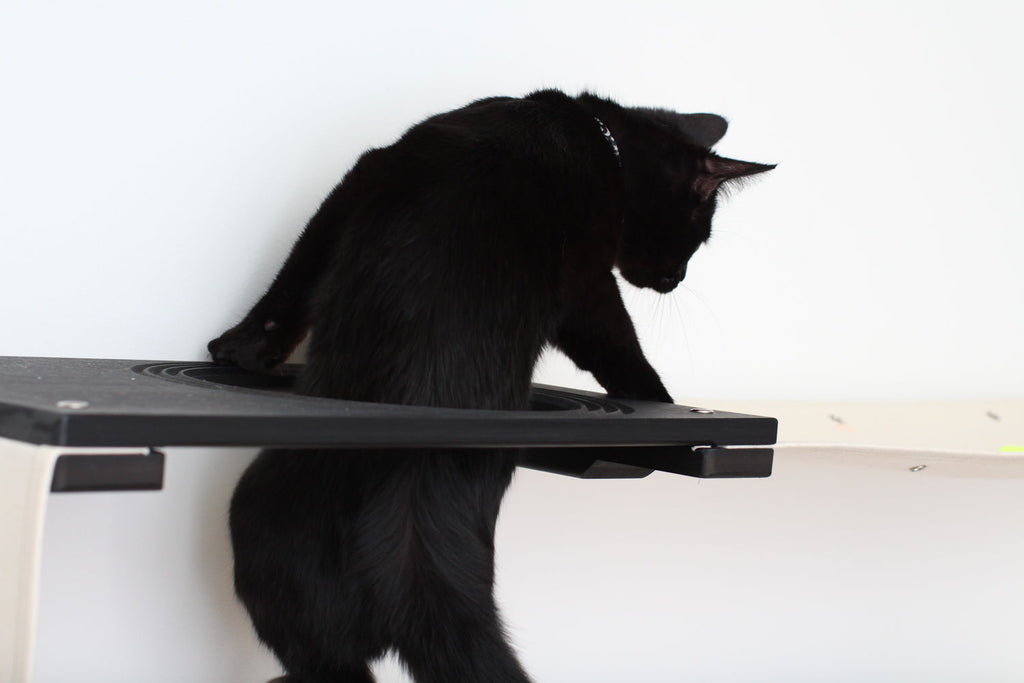 Catastrophic Creations Cat Maze Wall - 3 Tier Cat Tree