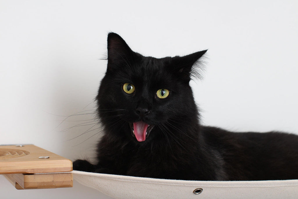 Catastrophic Creations Cat Maze Wall - 3 Tier Cat Tree