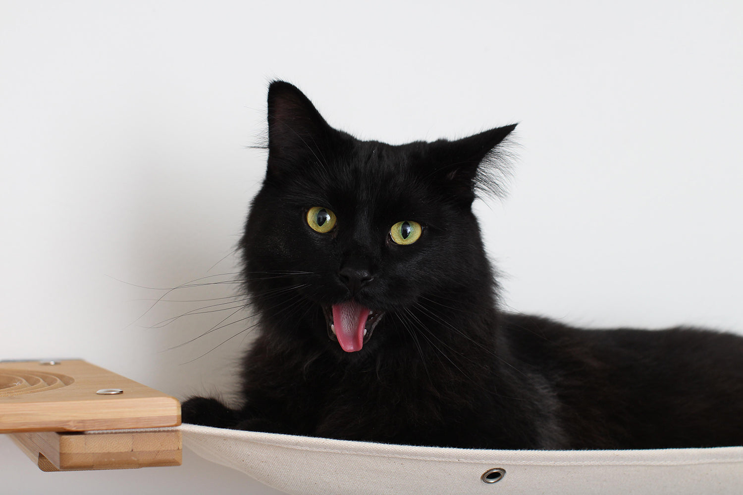 Catastrophic Creations Cat Maze Wall - 3 Tier Cat Tree
