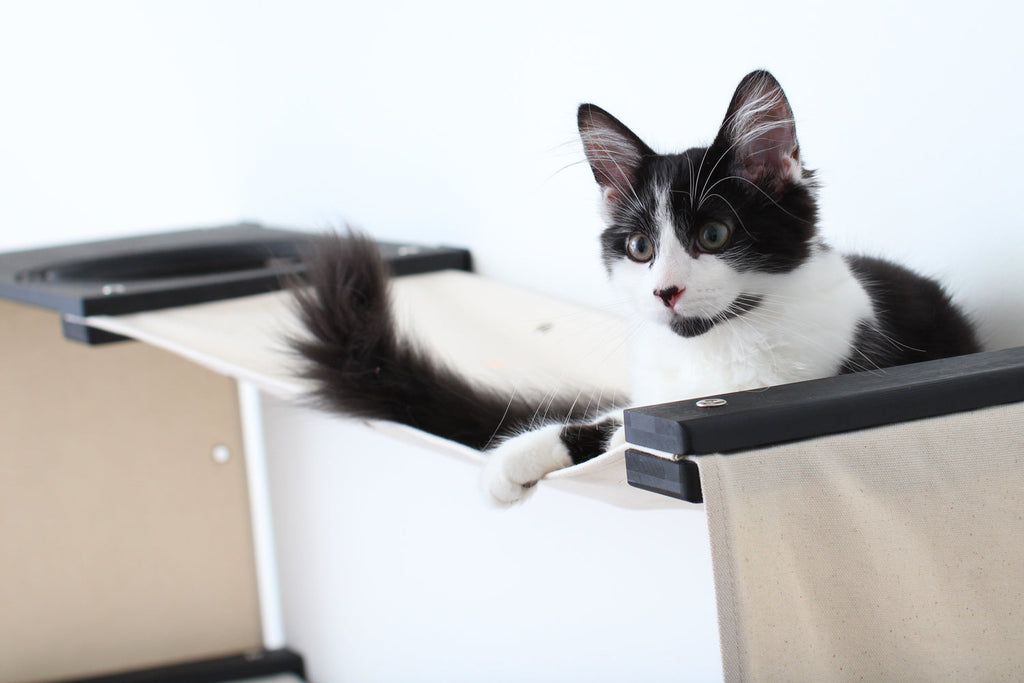 Catastrophic Creations Cat Maze Wall - 3 Tier Cat Tree