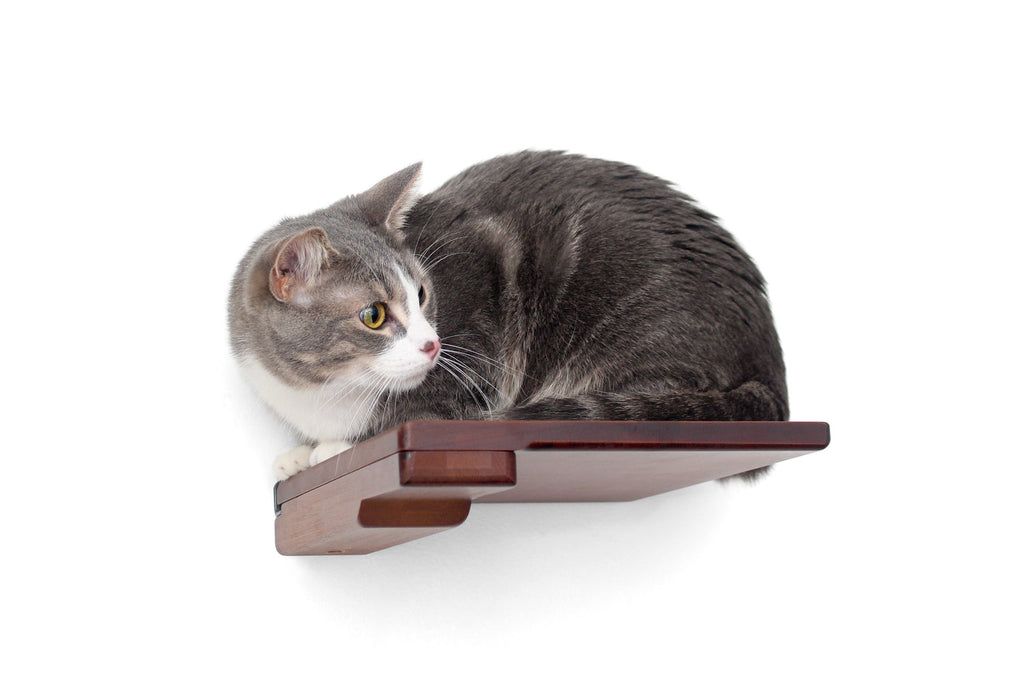 Catastrophic Creations Cat Climbing Shelf
