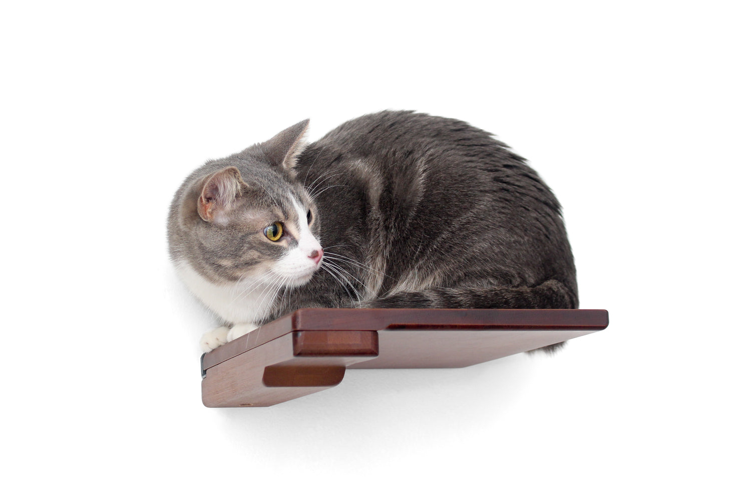 Catastrophic Creations Cat Climbing Shelf