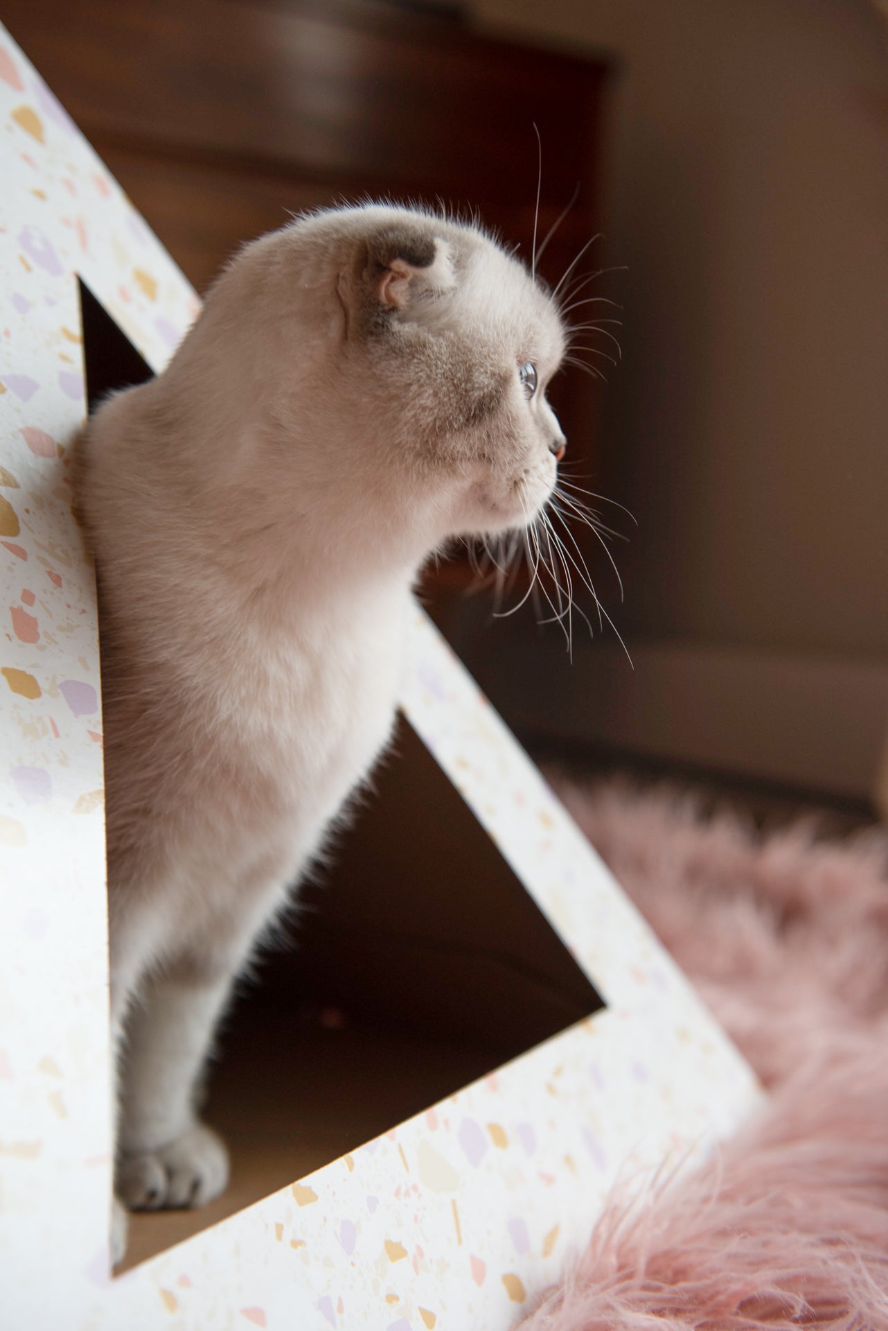 Kitty Kardboard® 'Terrazzo' Cat Pyramid