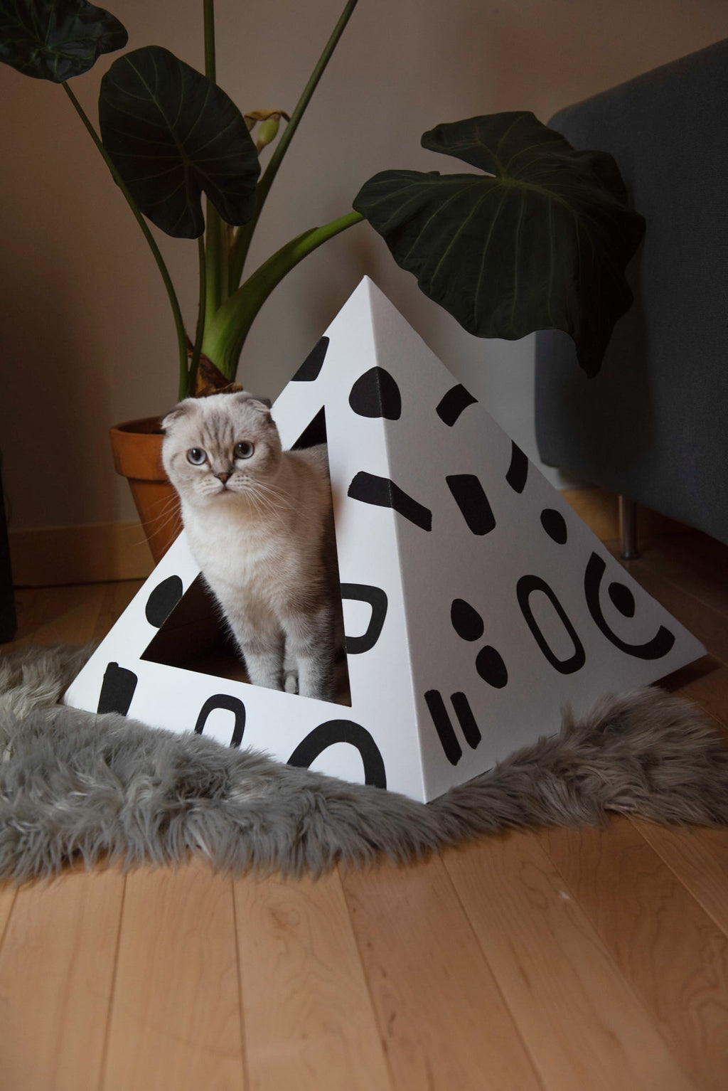 Kitty Kardboard® 'Doodle' Cat Pyramid