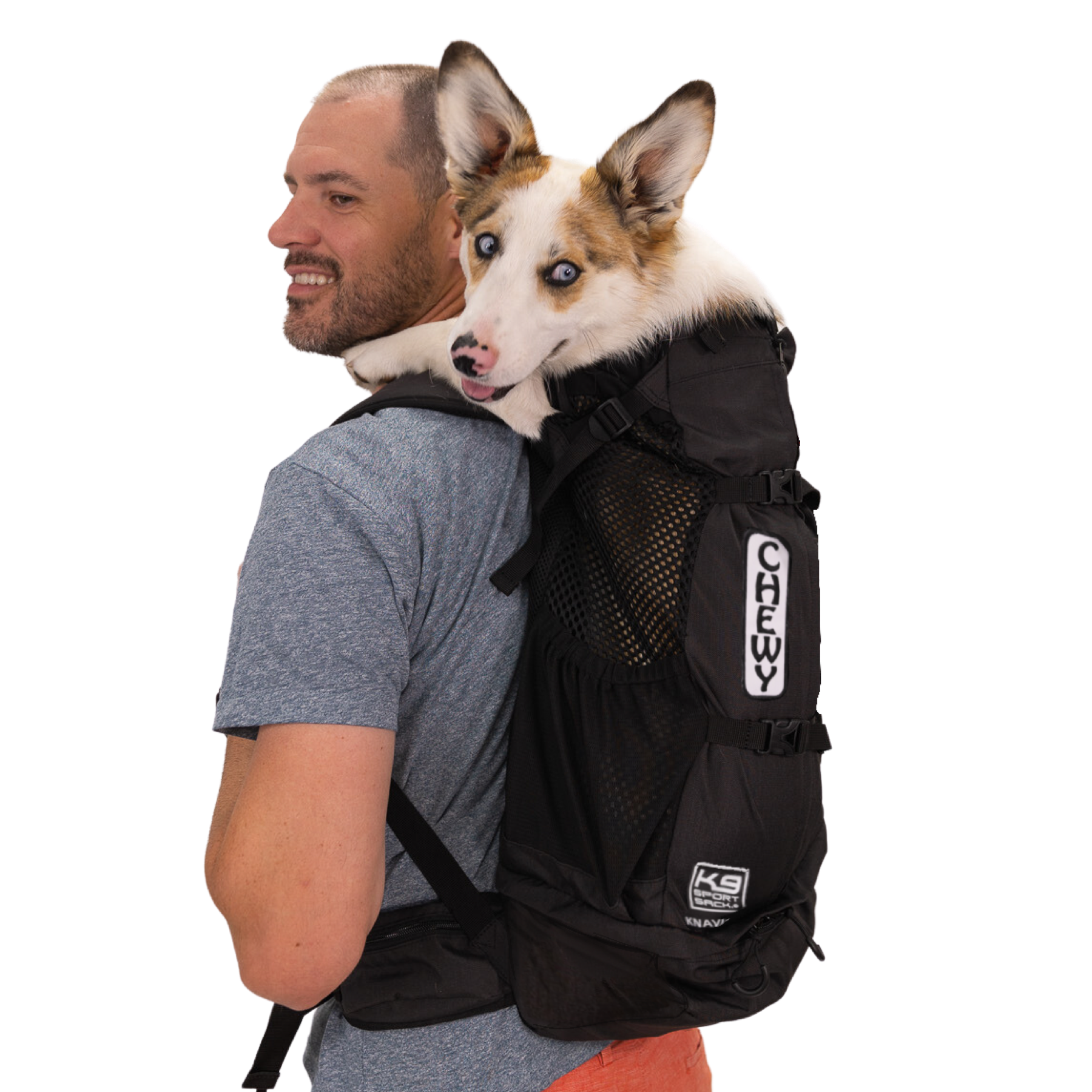 K9 Sportsack Knavigate | Sturdy Carrier with Internal Frame & Hip Belt