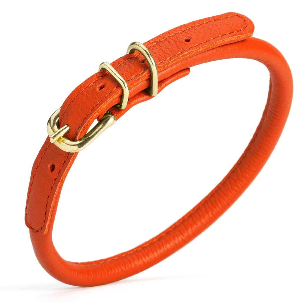 Soft Rolled Leather Dog Collar with Brass Hardware