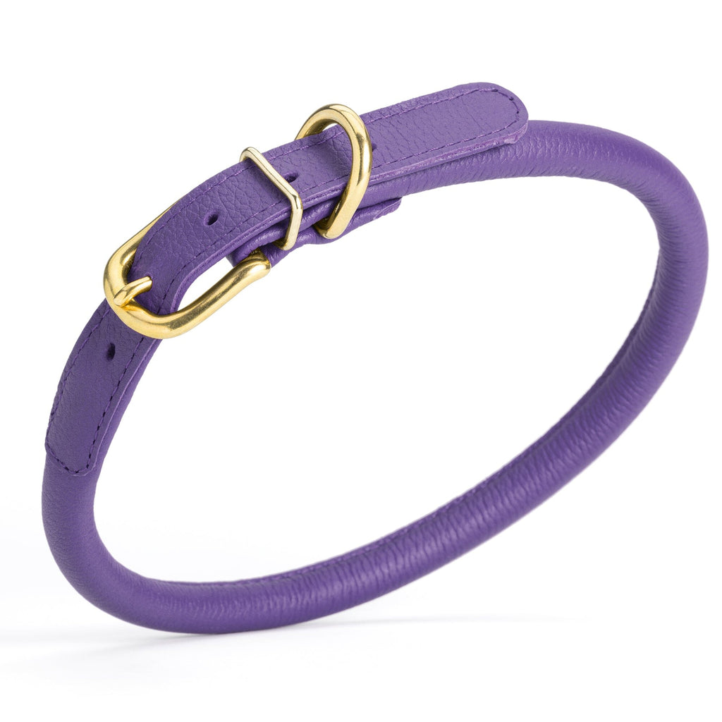 Soft Rolled Leather Dog Collar with Brass Hardware