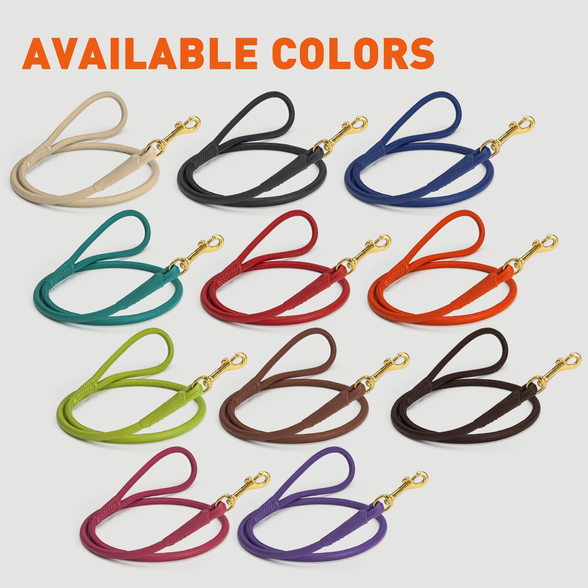 Rolled Leather Dog Leash with Brass Snap Hook