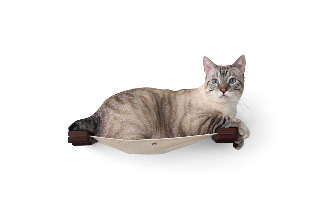 Catastrophic Creations Hanging Cat Bed Hammock