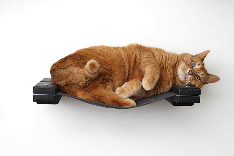 Catastrophic Creations Hanging Cat Bed Hammock