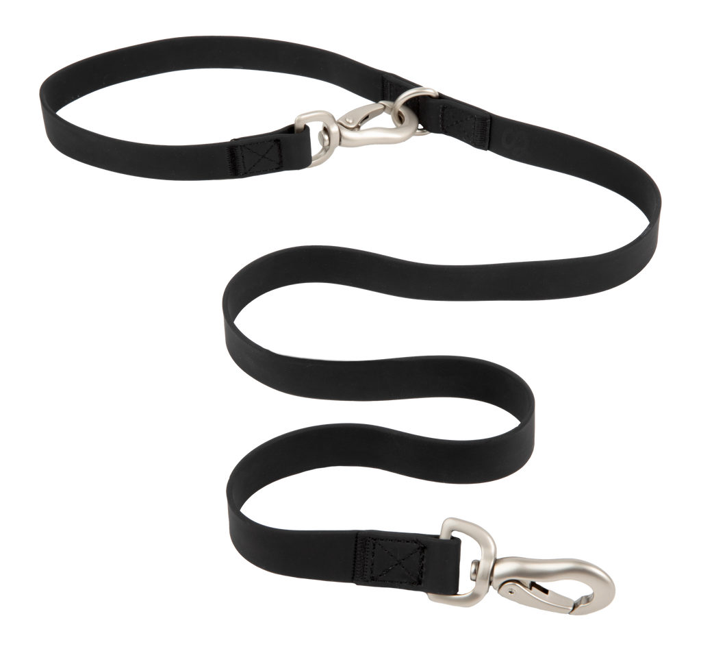 The City Dog Leash