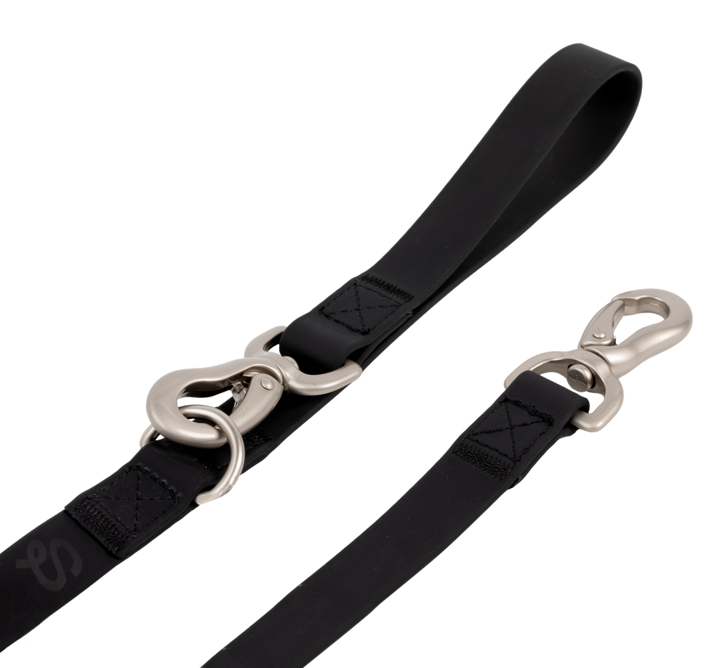 The City Dog Leash