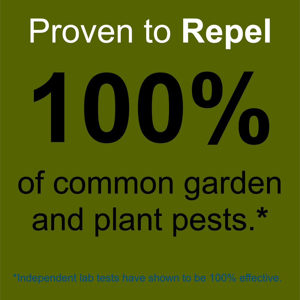 Plant and Garden Pest Control Spray - 32 oz - Plant Based All All Natural Non-Toxic - By Premo Guard