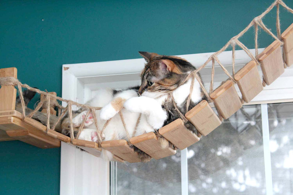 Catastrophic Creations Cat Bridge for Wall