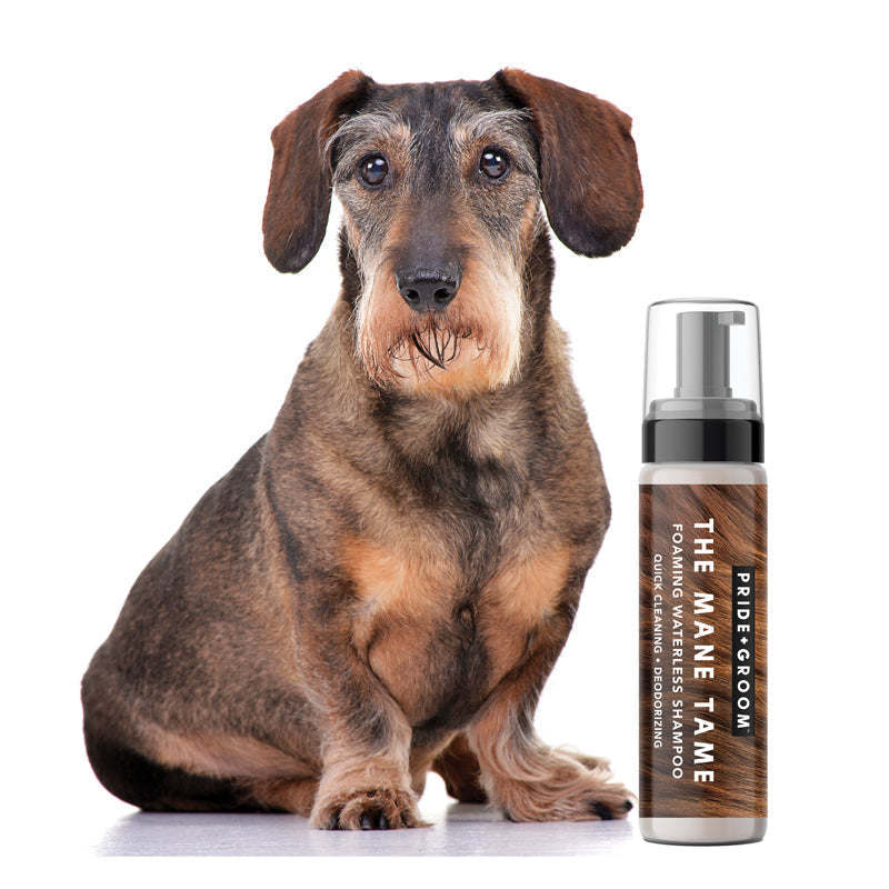 THE MANE TAME Waterless Dog & Cat Shampoo — No-Rinse Pet Grooming and Quick Cleaning