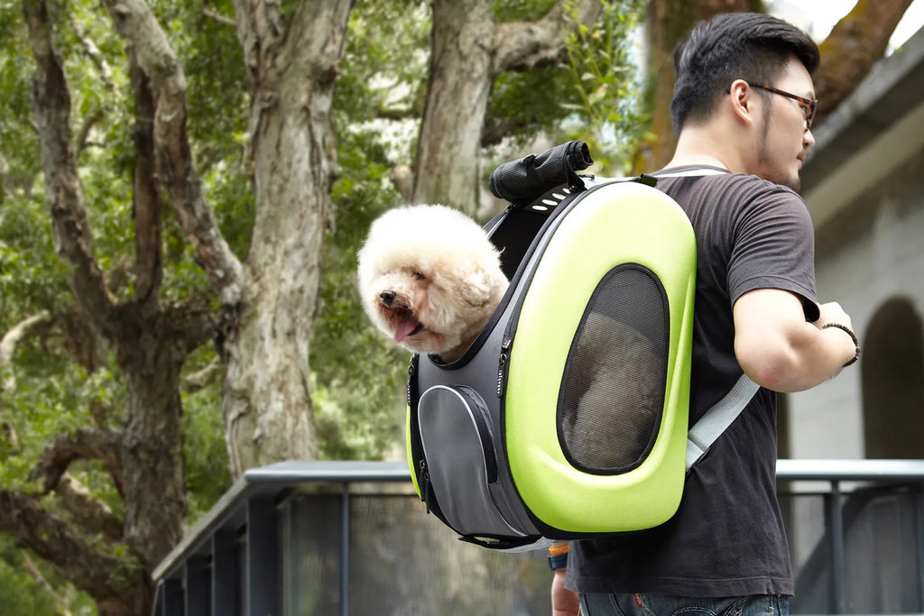 Ibiyaya 5-in-1 EVA Pet Carrier-Stroller, Dog-Cat Sling Bag, Small Backpack with Wheels, Car Seat Booster Combo