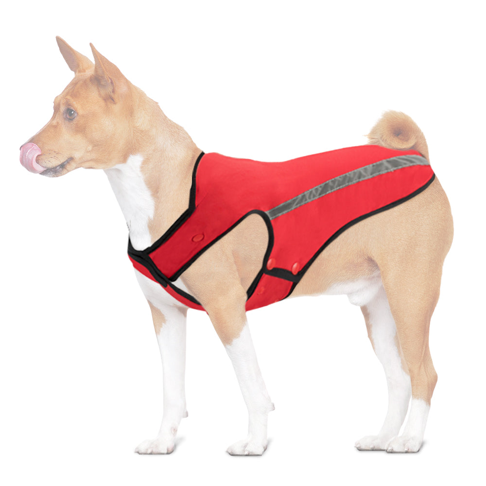 Winter Dog Jacket - Red