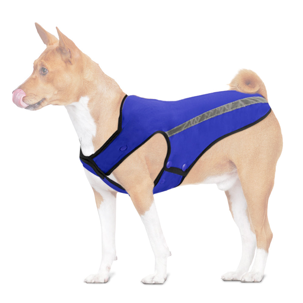 Winter Dog Jacket - Blue