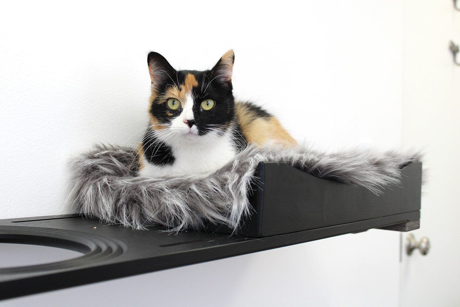 The Cat Nest Bed by Catastrophic Creations