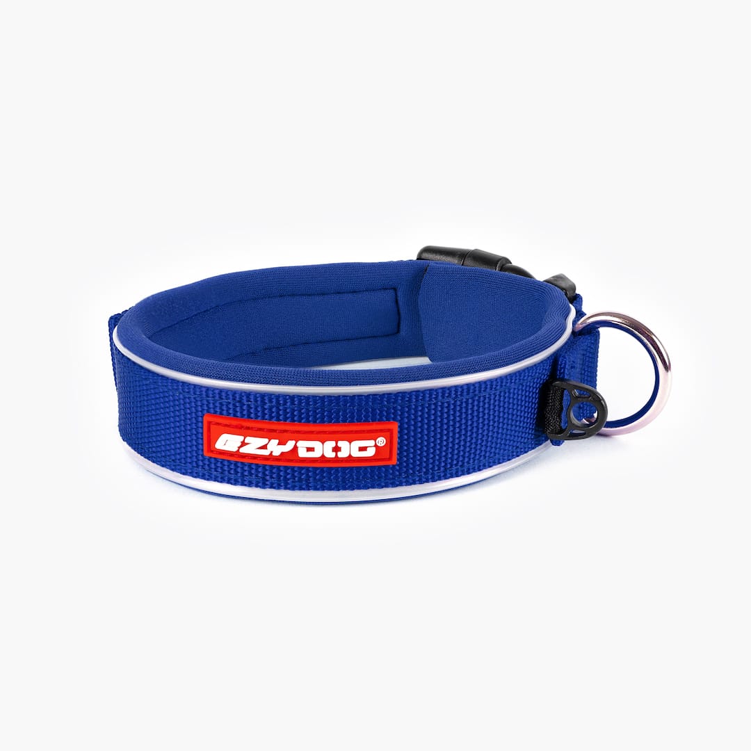 Neo™ Collar