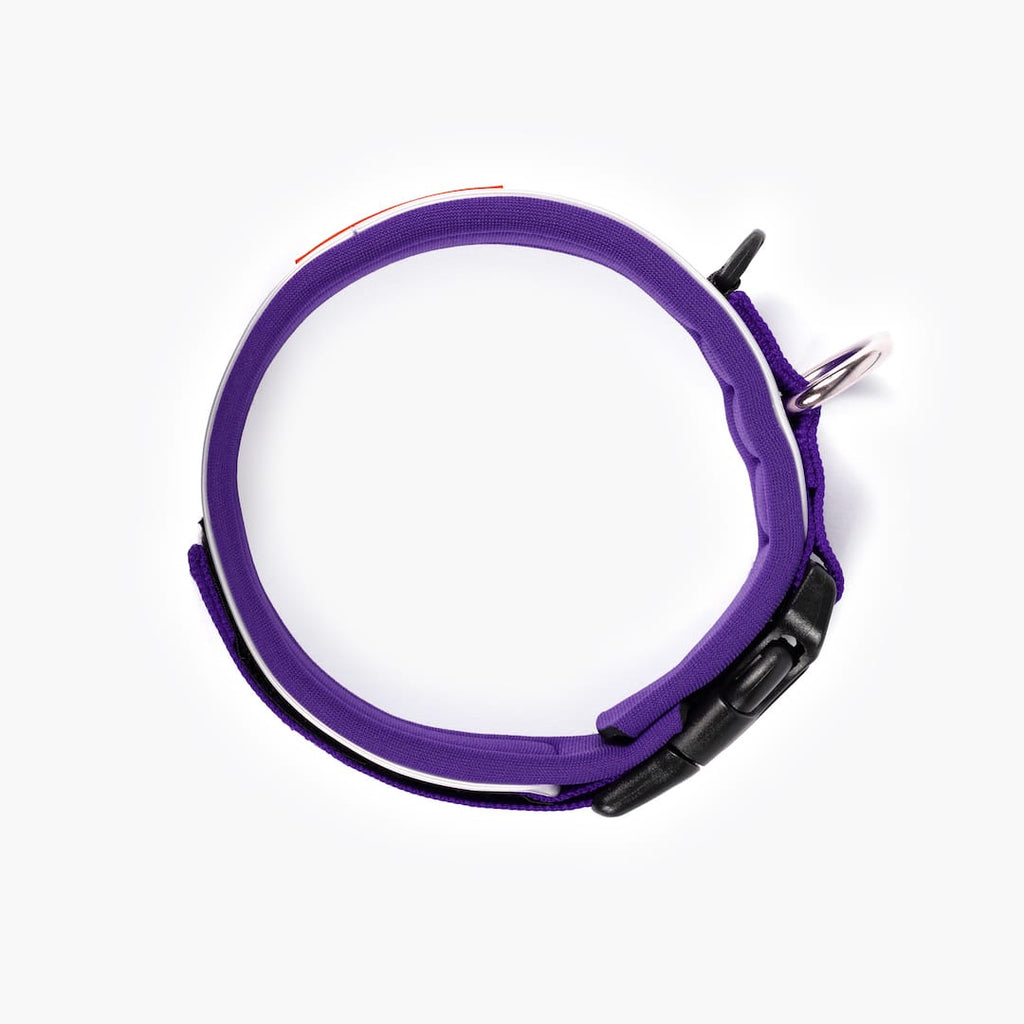 Neo™ Collar