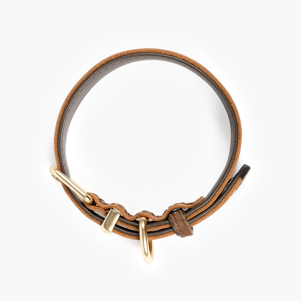 Oxford Leather - Classic Collar