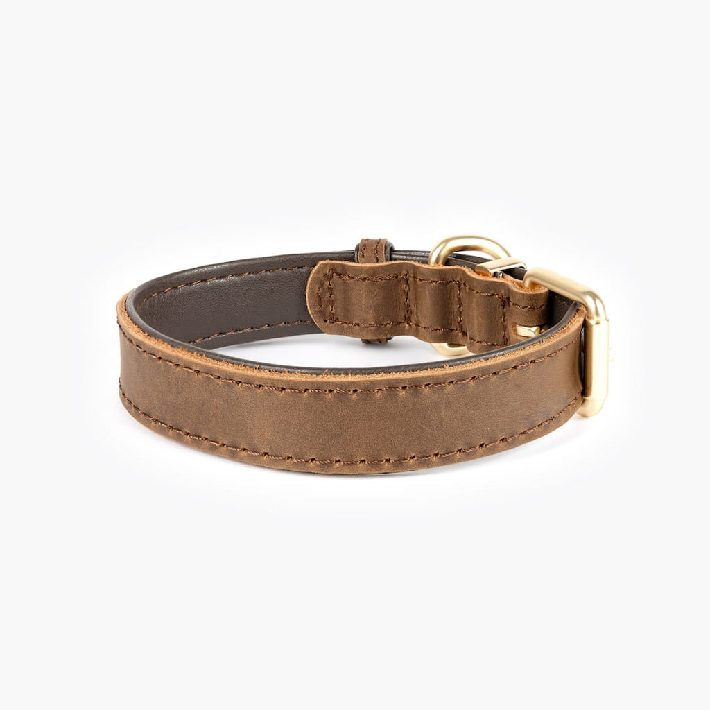 Oxford Leather - Classic Collar