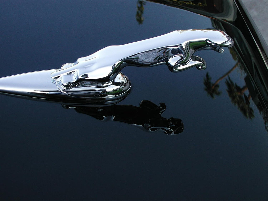 P21S Concours Carnauba Wax - 6.2 oz.