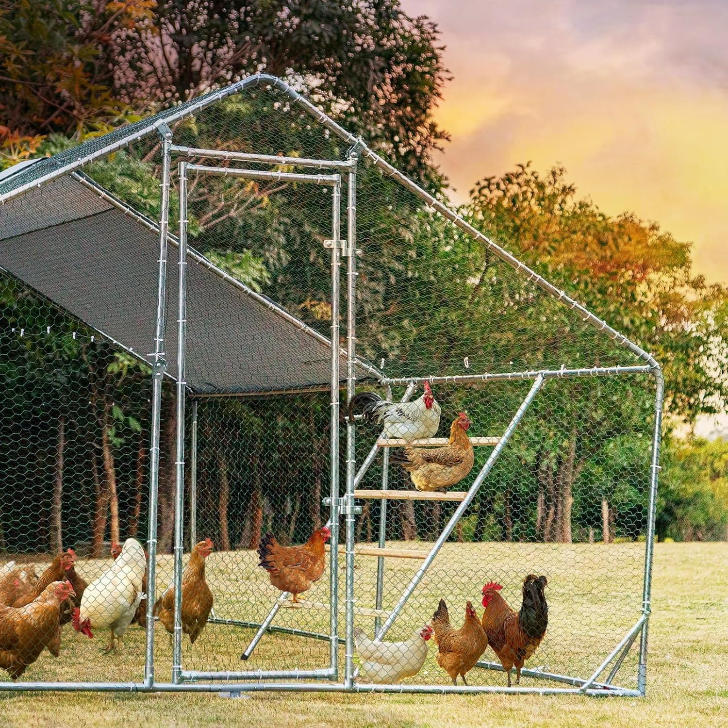 PETSFIT Chicken Roosting Perch