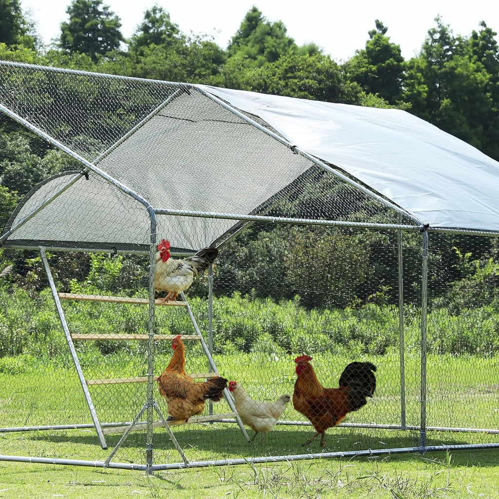 PETSFIT Chicken Roosting Perch