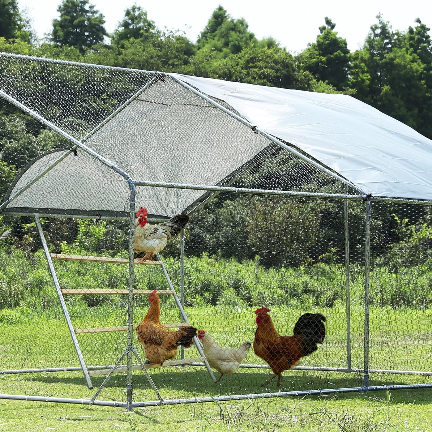 PETSFIT Chicken Roosting Perch