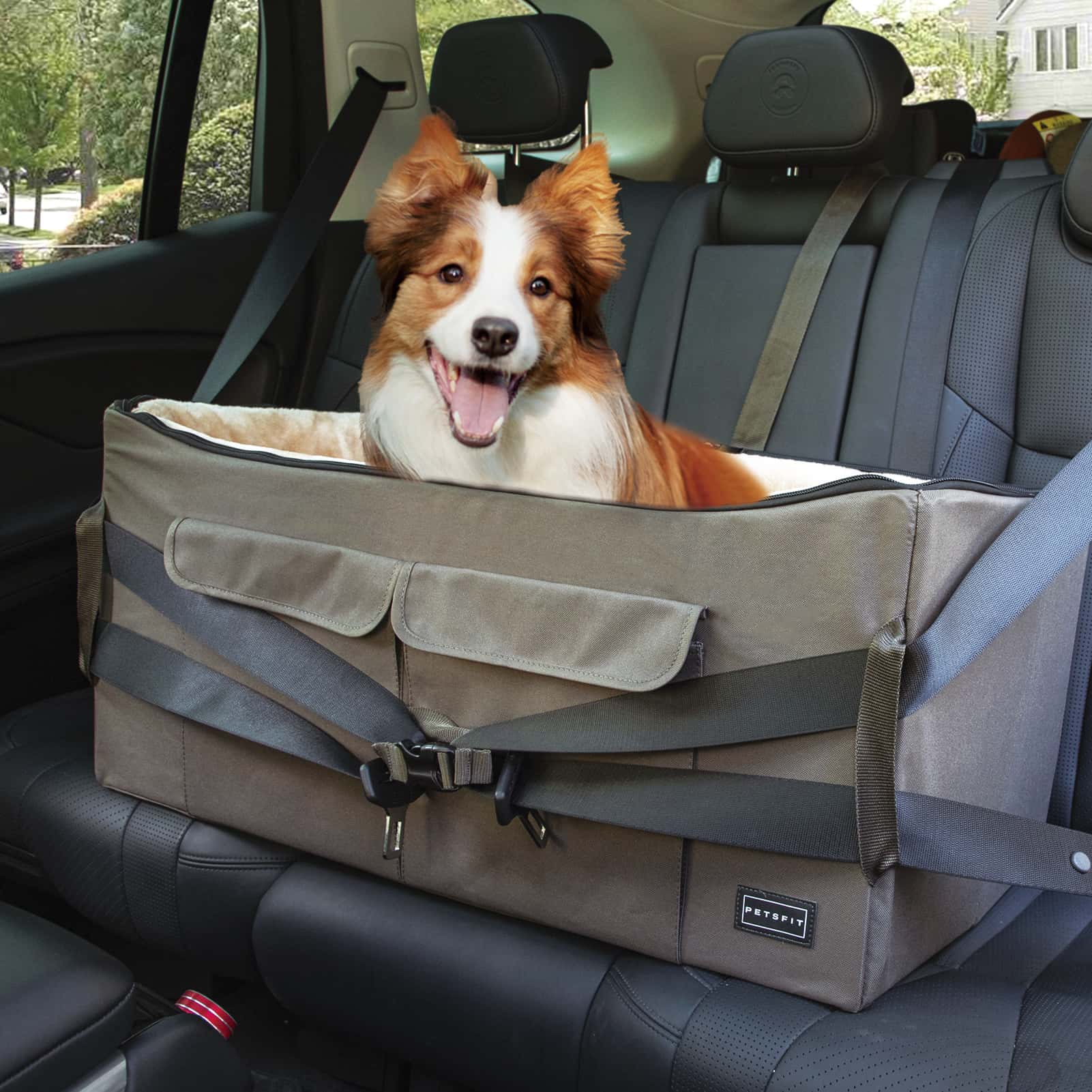 PETSFIT Dog Booster Seat for Medium Dog or 2 Small Dogs or Large Dog up to 55 lb